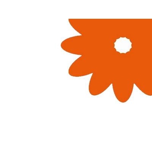 Gerbera diamond orange