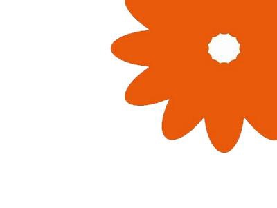 <h4>Gerbera diamond orange</h4>