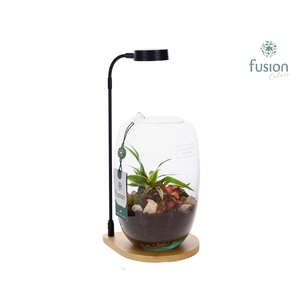 Bamboe plateau met LED licht lamp en vaas en Groen planten