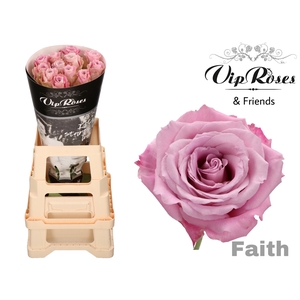 R GR FAITH
