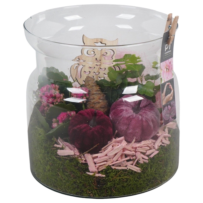 <h4>Arr.    Planten  L%</h4>