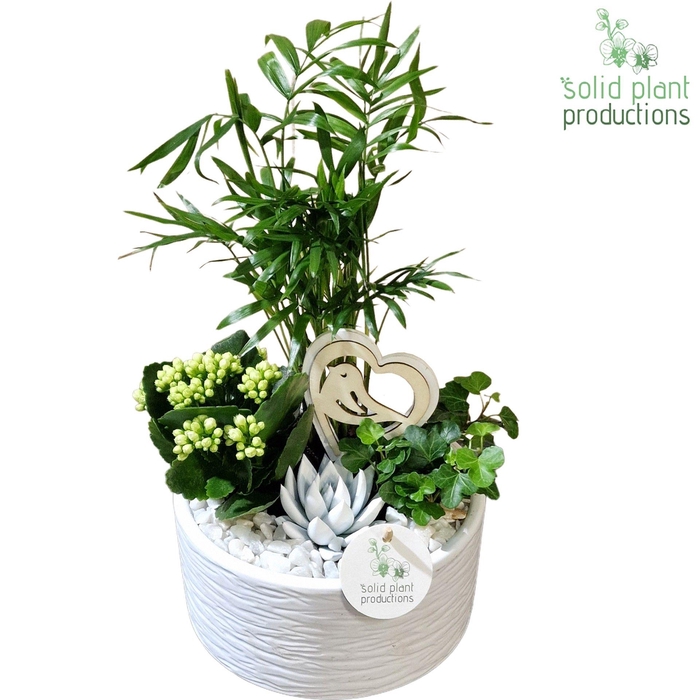 <h4>Opm Sp CE003 Loes White VM</h4>