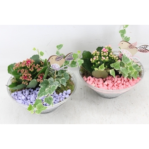 arr2 PL - Glas ribbel schaal - lila/roze