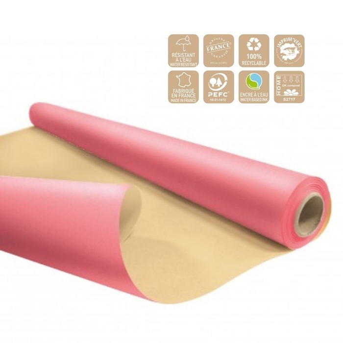 Paper Roll 80cm 25m Eco waterp.