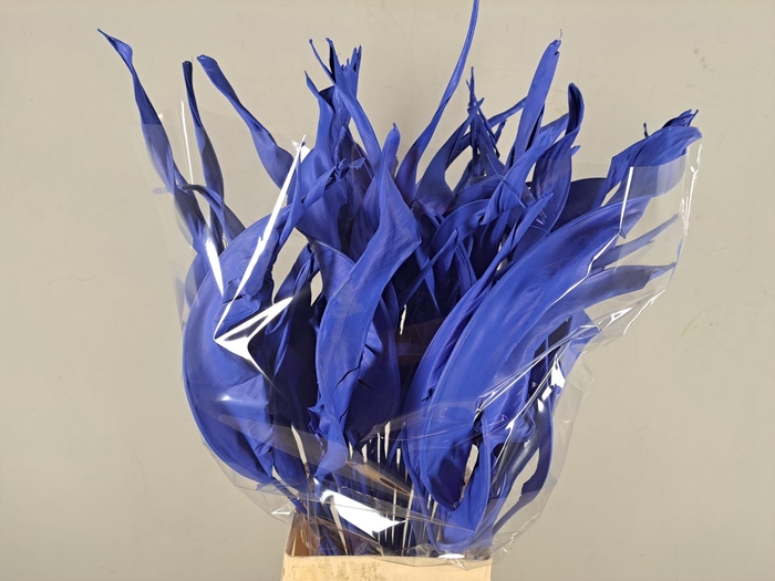 <h4>DF Strelitzia Leaf Blue</h4>