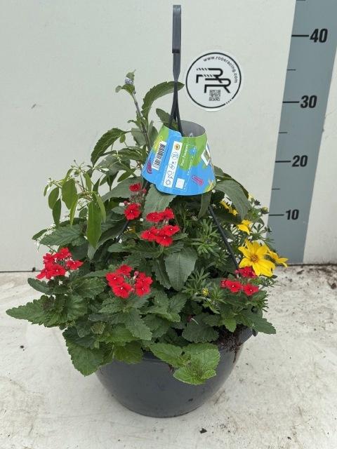 <h4>PERKPL GEM IN POT</h4>