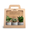 3-Pack Raw Grey