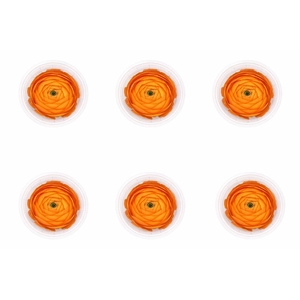 Ran Pres Orange
