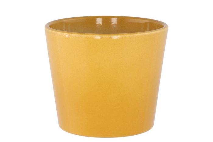 <h4>Ceramic Shiny Curry Pot 13cm Nm</h4>