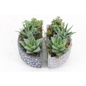 arr3 SN - Puzzel pot halve maan