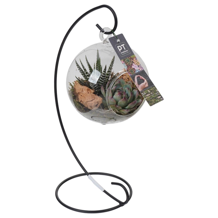 <h4>PTGIG2112 Arrangement Greens in glass in glazen bol met metalen standaard</h4>