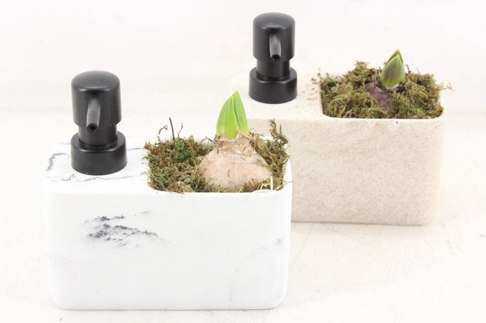 <h4>arr4 Hyacint FL - Soap Dispenser</h4>