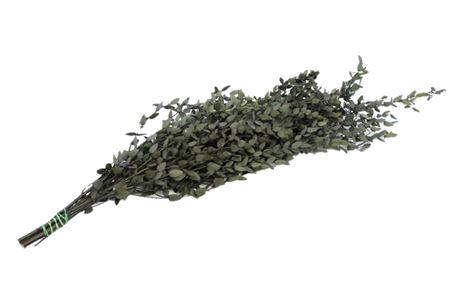 Bunch Euca Parvifoglia Pres. 150g L65