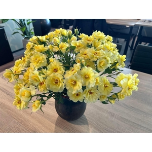 Rosa Spray Parfum Hill