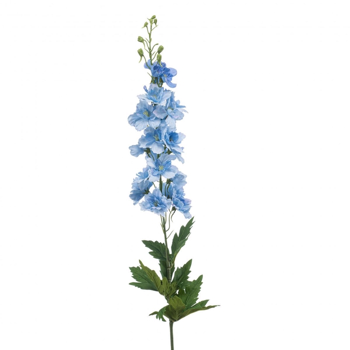 <h4>Delphinium 90cm</h4>