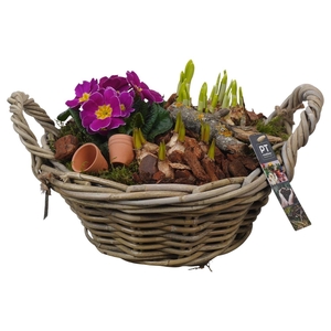 Arr.   Tuinplanten L%