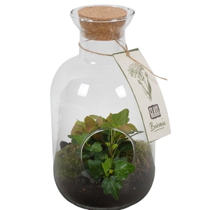 PTGIG2142 Arrangement Greens in glass in glazen fles