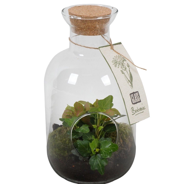 <h4>PTGIG2142 Arrangement Greens in glass in glazen fles</h4>