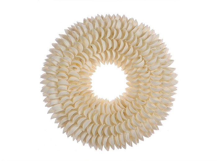 <h4>Deco Wreath Shell Clamrose H7d20 X1</h4>