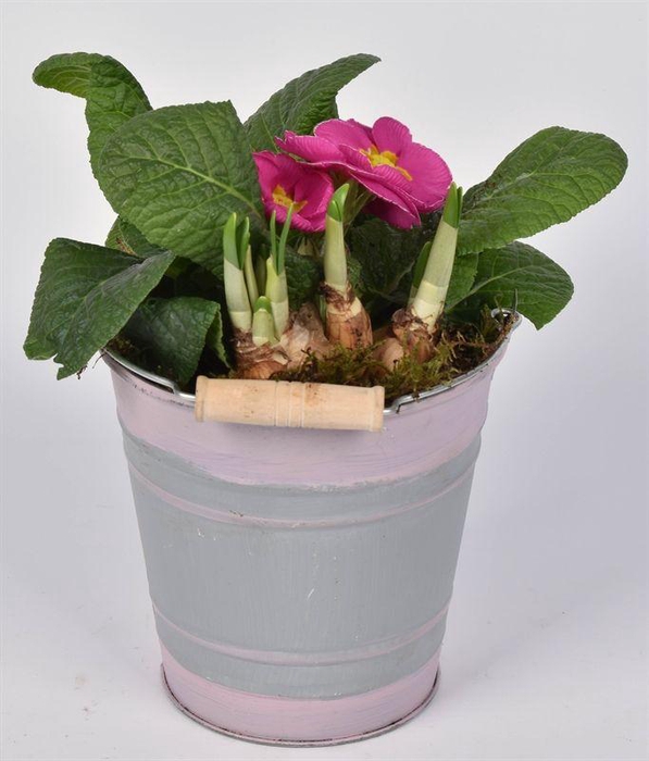 <h4>Zink emmer gekl.rand 13cm</h4>