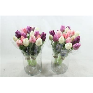 3117 PAARS/WIT/ROZE KUNSTTULP