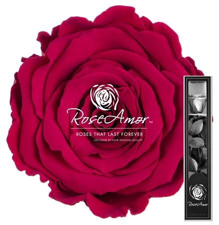 30cm Stem Pin05
