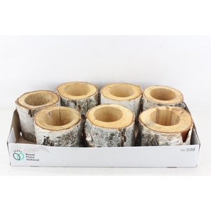 arr3 GB - Schors pot x7