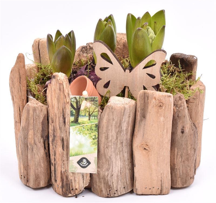 <h4>Druivenhout ovaal 21x14.5cm</h4>