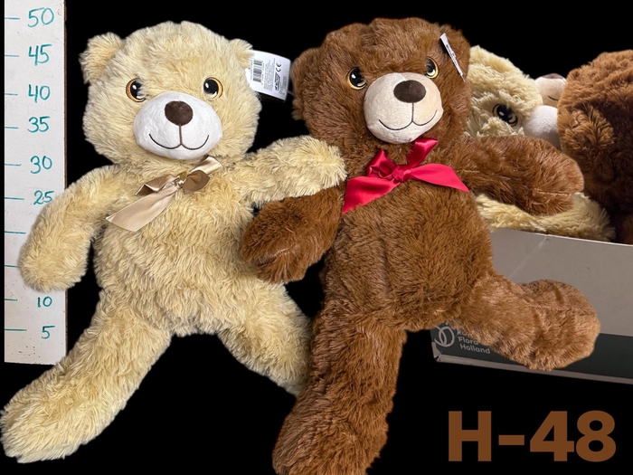 <h4>HUIS EN TUINDECO H%</h4>