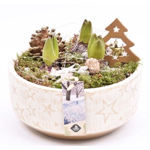 Cement schaal met ster 20.5cm