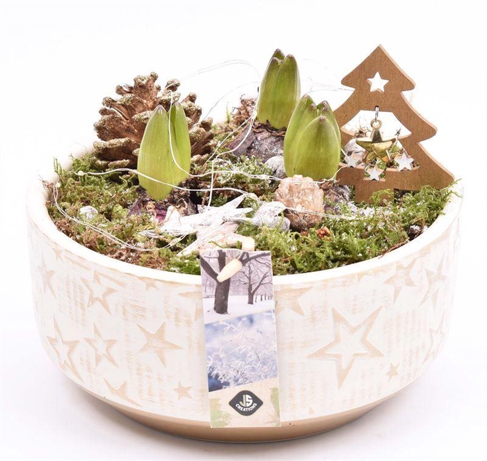 <h4>Cement schaal met ster 20.5cm</h4>