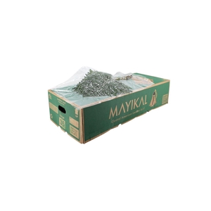 Lederv Large Helechos Ticos Box WBE