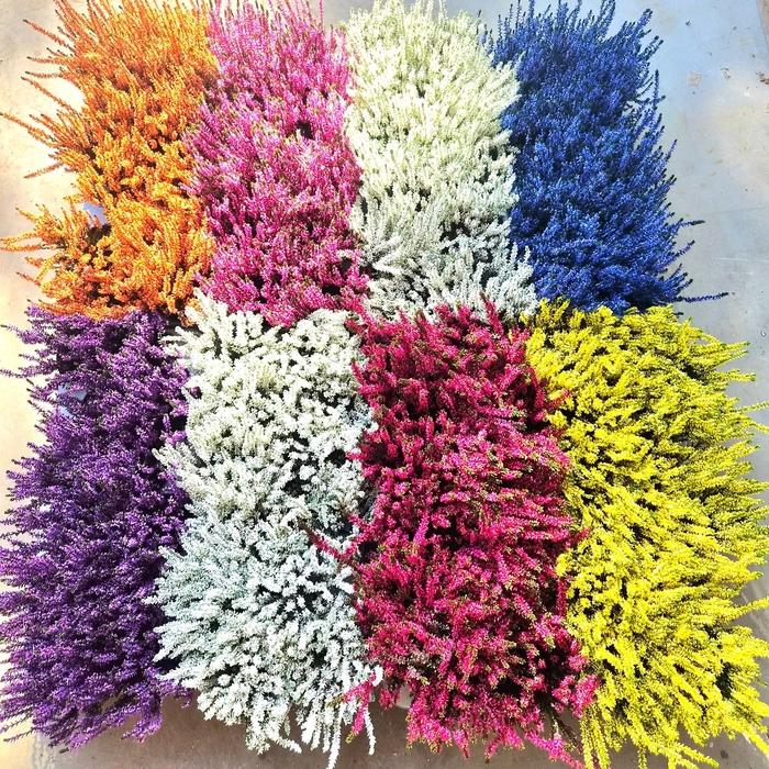 <h4>CALLU KLB MIXK H%</h4>