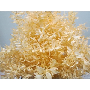 RUSCUS A GEBLEEKT ZALM