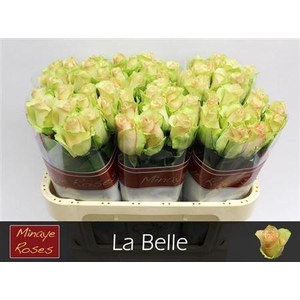 R Gr La Belle