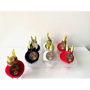 HIPPEASTRUM BELLADONNA VELVET X4