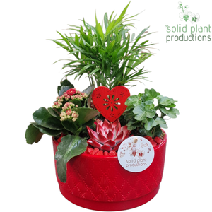 CE003 Loes Red VM