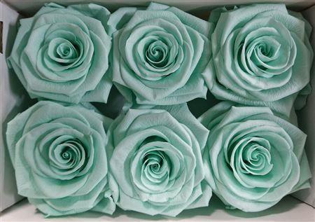 <h4>Ro Pres Classic Mint</h4>