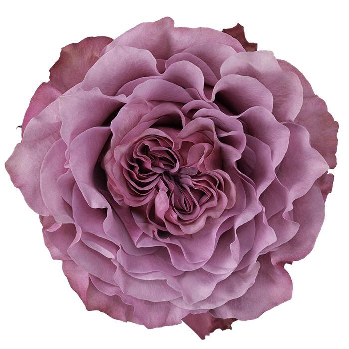 R GR COUNTRY BLUES Naranjo