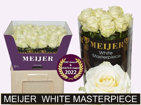 <h4>R Gr Avalanche White Masterpiece Meijer Super</h4>