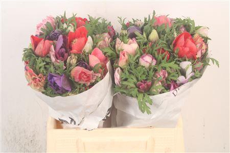 <h4>Anemone Mistral Mixed In Bunch</h4>