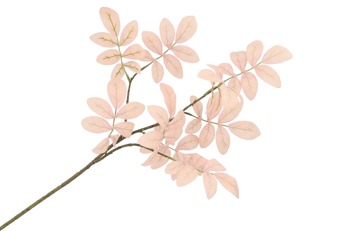 <h4>Silk Leaf Rowan Champagne 71cm</h4>