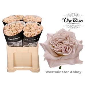 R GR WMINSTER ABBEY!