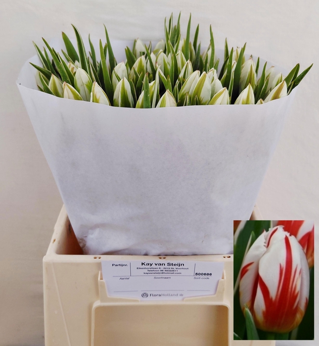 <h4>TU EN HAPPY GENERATI</h4>