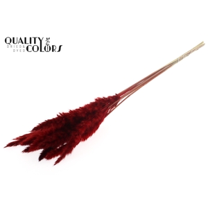 Fluffy Pampas 10pc/bunch Red