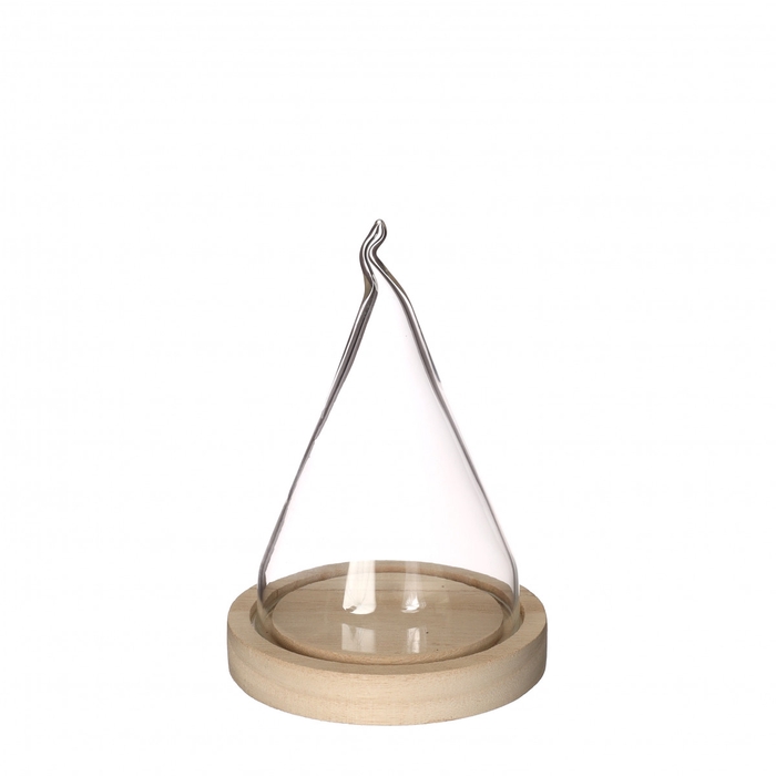 <h4>Glas Stolp flame d10/12*17.5cm</h4>