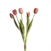 AF Tulip Bundle x5 L43cm Mix B