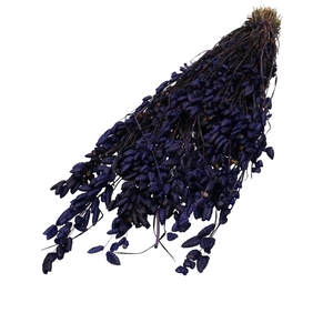 Sale Briza Maxima 60cm