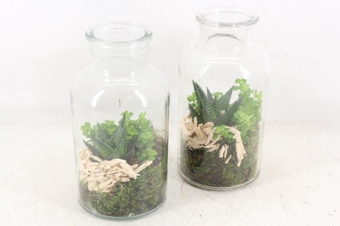 <h4>arr3 SN - Glas fles Hawo. x8</h4>