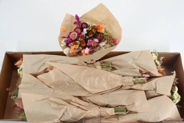 <h4>DF BOUQUET NEON MIX 50CM</h4>